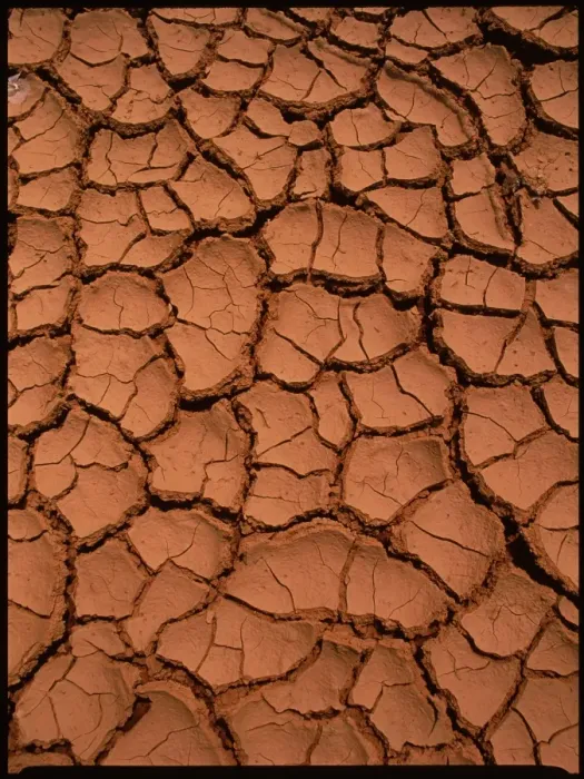 Framed Print : Dried Mud Print - Cracked Earth Pattern