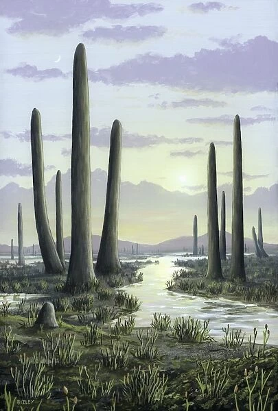 Early Devonian landscape, artwork C016  /  5348