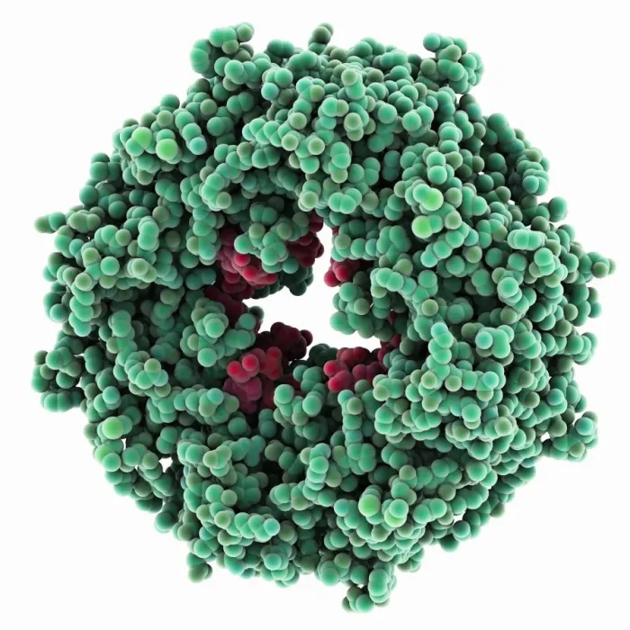 Framed Print : Ebola Matrix Protein Print Framed Print : Ebola Matrix Protein Print