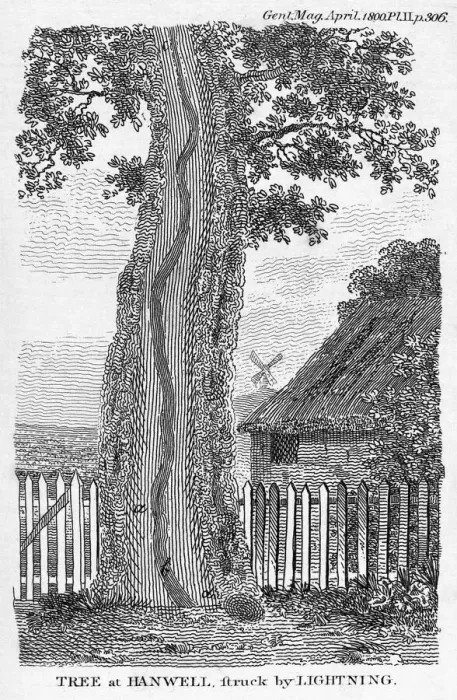 Framed Print : Engraving of a tree split by lightning, Print Framed Print : Engraving of a tree split by lightning, Print