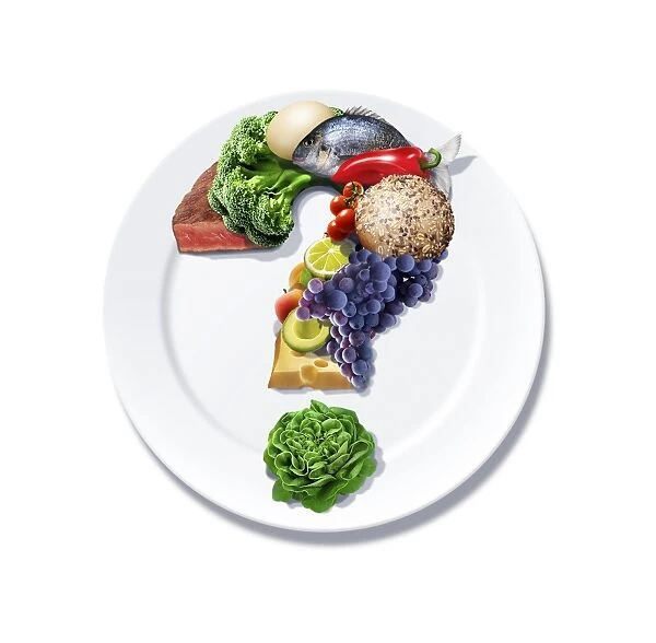 Food queries, conceptual artwork