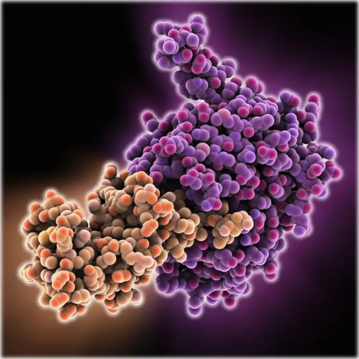 Framed Print : Malaria Protease Enzyme Complex Print Framed Print : Malaria Protease Enzyme Complex Print