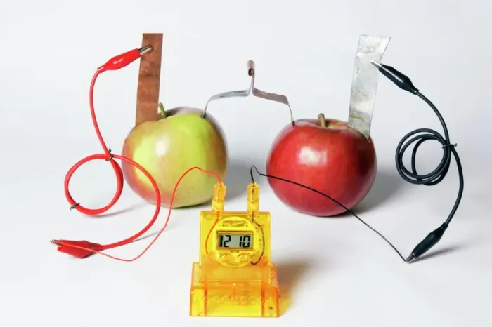 Framed Print : Fruit-powered Clock Print: Apple Battery Experiment Framed Print : Fruit-powered Clock Print: Apple Battery Experiment