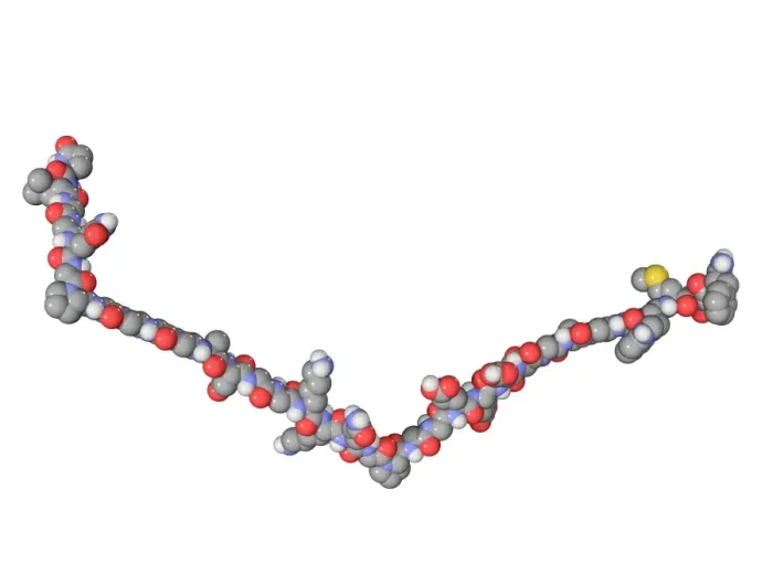 Framed Print : Gastrin Hormone Molecule Print Framed Print : Gastrin Hormone Molecule Print