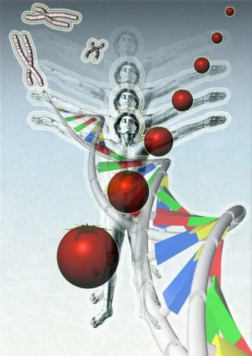 Framed Print : Genetic Modification Print Framed Print : Genetic Modification Print