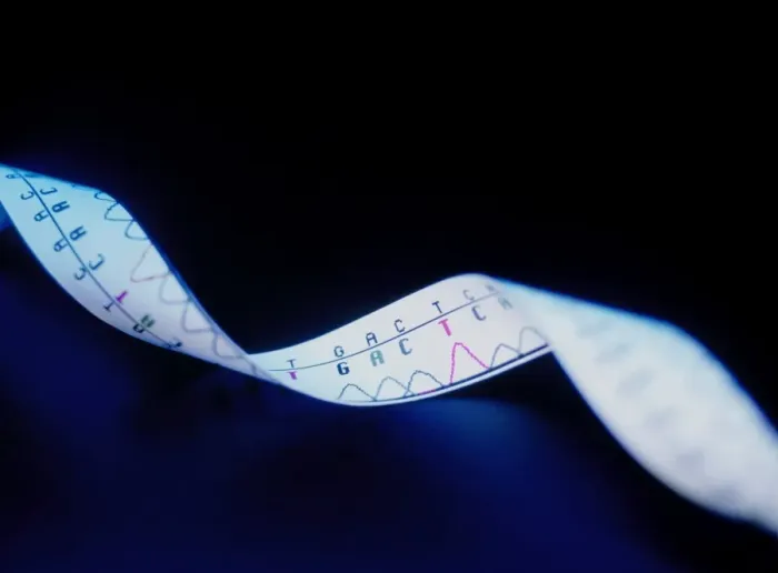 Framed Print : Print of a DNA Helix Genetic Sequence Framed Print : Print of a DNA Helix Genetic Sequence