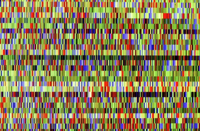 Framed Print : Grapevine Genome Sequencing Print Framed Print : Grapevine Genome Sequencing Print