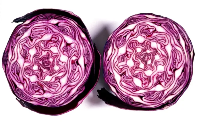 Framed Print : Halved Red Cabbage Print Framed Print : Halved Red Cabbage Print