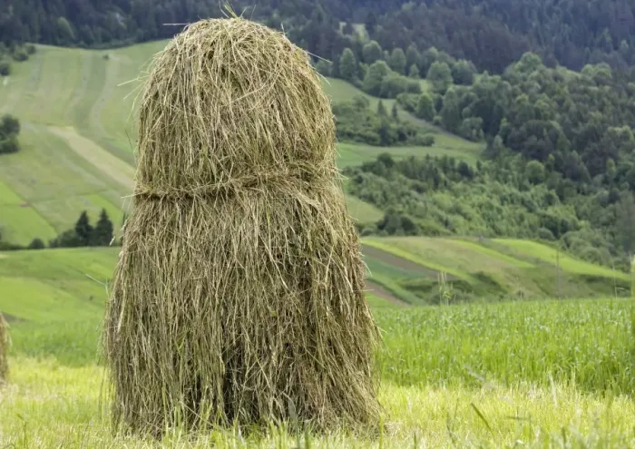 Framed Print : Tatra Hay Stack Print, 30x40cm