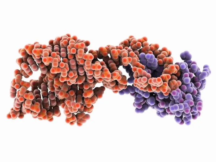 Framed Print : Hepatitis D virus ribozyme complex Print Framed Print : Hepatitis D virus ribozyme complex Print