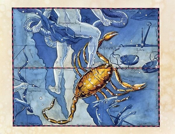 Historical artwork of the constellation Scorpius