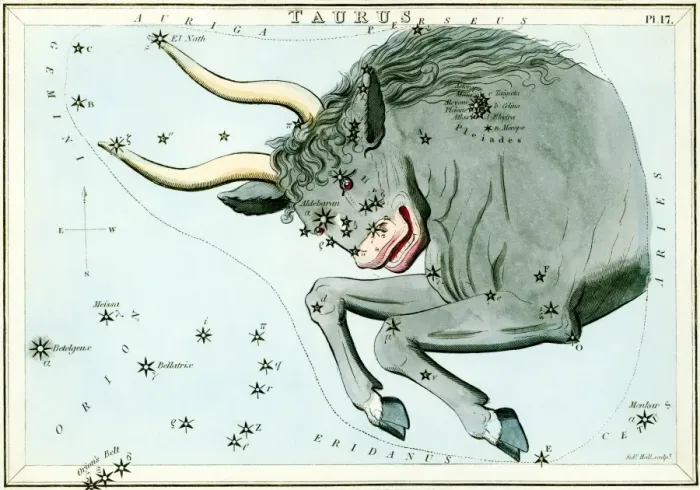 Framed Print : Taurus Constellation Print