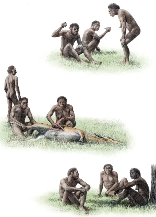 Framed Print : Homo ergaster behaviour Print Framed Print : Homo ergaster behaviour Print