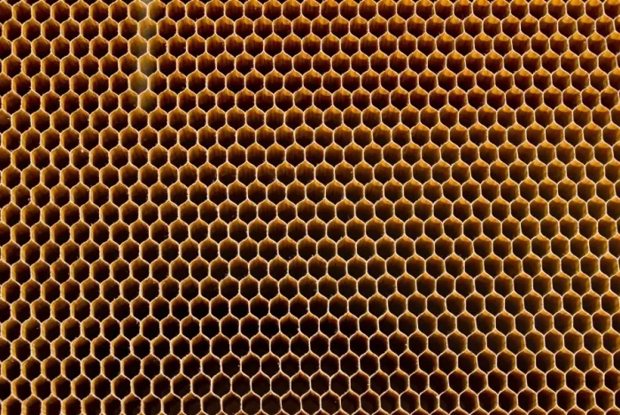 Framed Print : Honeycomb Core Print Framed Print : Honeycomb Core Print