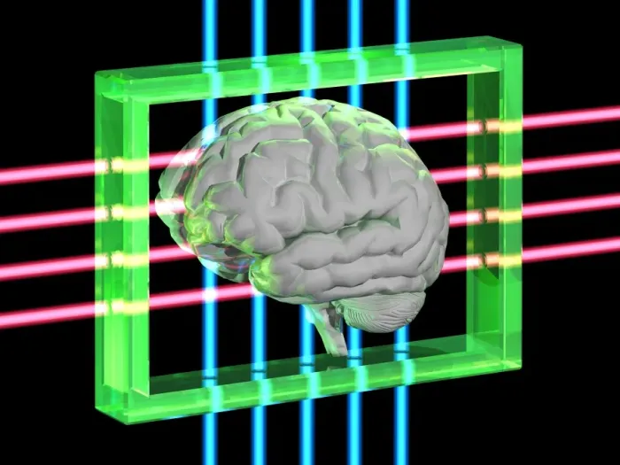 Framed Print : Human Brain Print: A Computer Artwork of a Confined Cerebral Structure