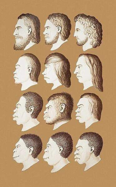 Twelve human faces, artwork, 1870