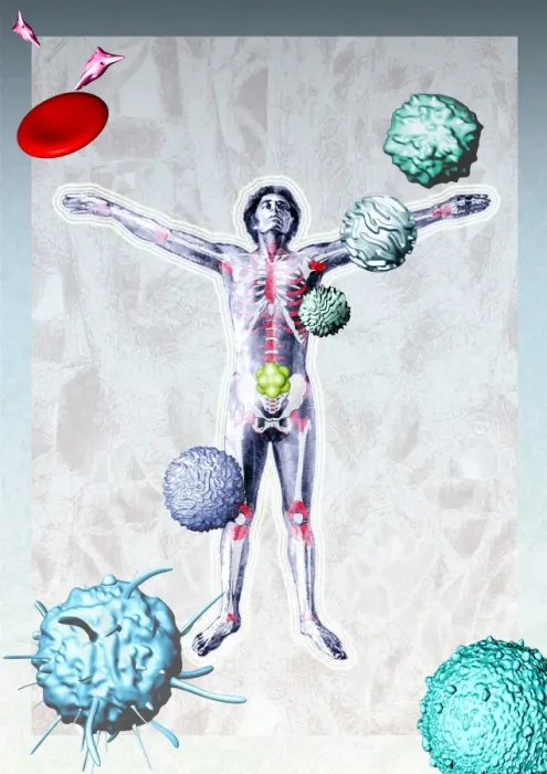Framed Print : Immune System Components Print Framed Print : Immune System Components Print