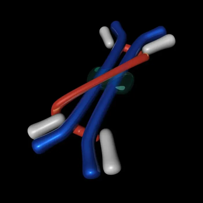 Framed Print : Immunoglobulin A Print, Molecular Model Framed Print : Immunoglobulin A Print, Molecular Model
