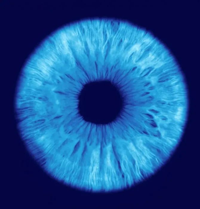 Framed Print : Computer-enhanced print of a human eye iris Framed Print : Computer-enhanced print of a human eye iris