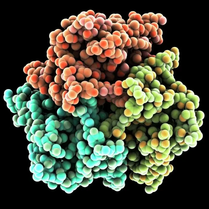 Framed Print : Leptin Molecular Model Print Framed Print : Leptin Molecular Model Print