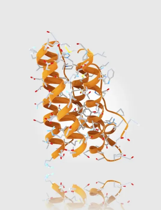 Framed Print : Leptin Molecule Print: Computer Model of Crystal Structure Framed Print : Leptin Molecule Print: Computer Model of Crystal Structure