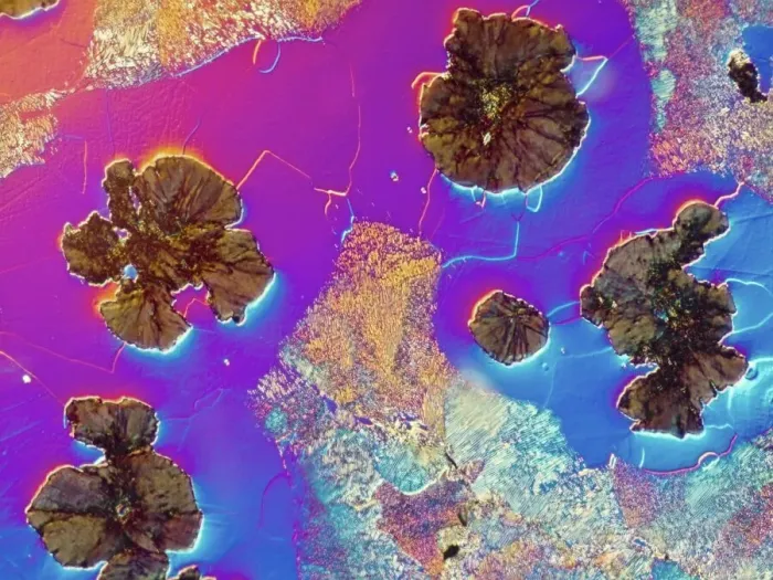 Framed Print : DIC Light Micrograph of Spheroidal Cast Iron Print Framed Print : DIC Light Micrograph of Spheroidal Cast Iron Print