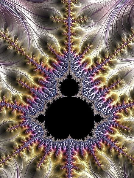 Mandelbrot fractal F008  /  4429