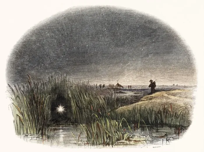 Framed Print : 19th Century Marsh Light Print Framed Print : 19th Century Marsh Light Print