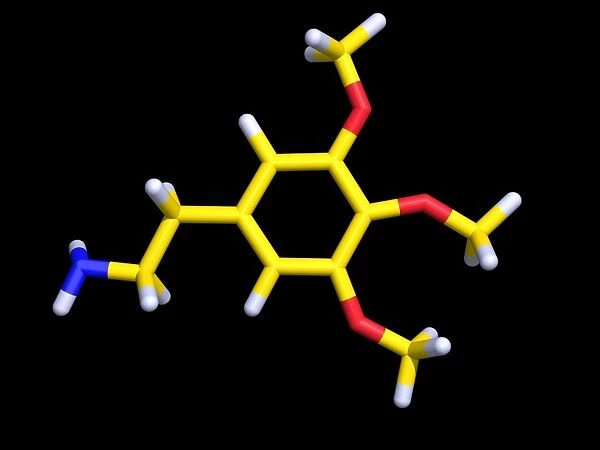 Mescaline molecule