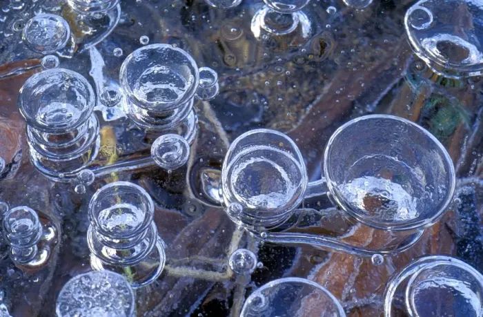Framed Print : Methane Bubbles in Frozen Pond Print