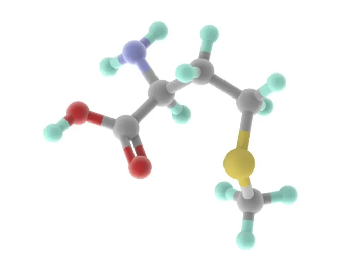 Framed Print : Methionine Molecule Print