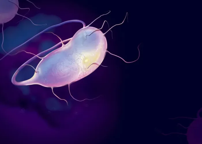Microbes, conceptual artwork Our beautiful Wall Art and Photo Gifts ...