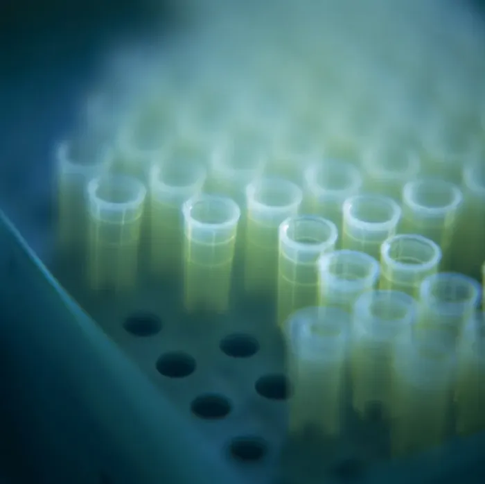 Framed Print : Microtubes stored in a rack, Print Framed Print : Microtubes stored in a rack, Print