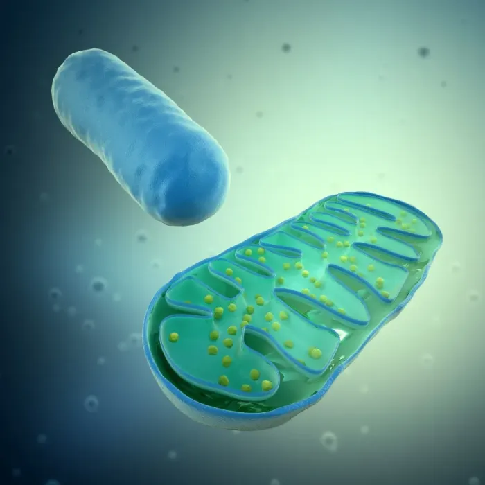 Framed Print : Mitochondria Print, Computer Artwork Framed Print : Mitochondria Print, Computer Artwork