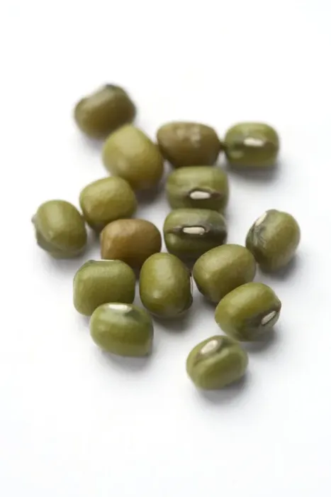 Framed Print : Mung Bean Print Framed Print : Mung Bean Print