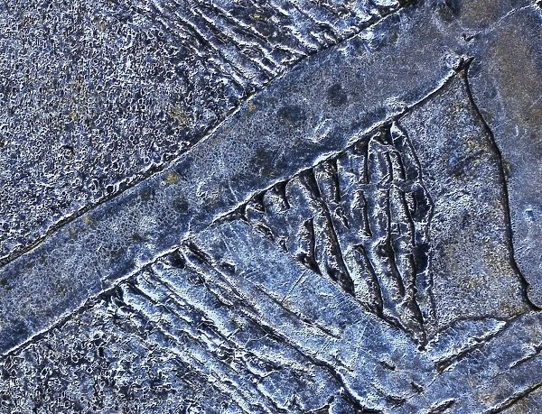 Muonionalusta meteorite, micrograph