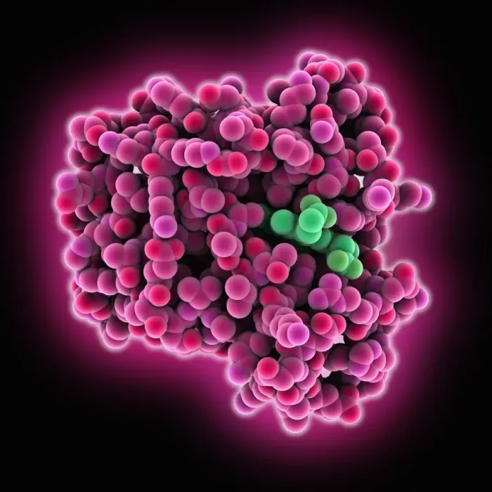 Framed Print : Myoglobin Molecule Print Framed Print : Myoglobin Molecule Print