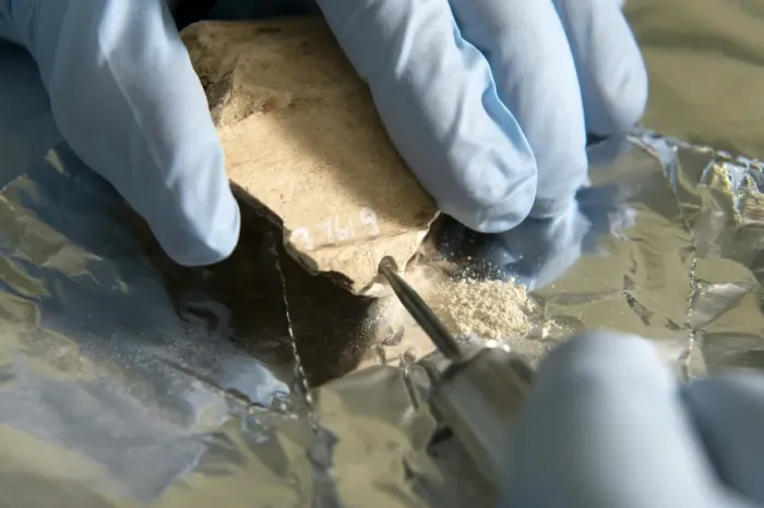 Framed Print : Neanderthal DNA Extraction Print Framed Print : Neanderthal DNA Extraction Print
