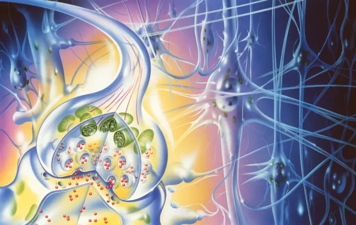 Framed Print : Nerve Synapse Print