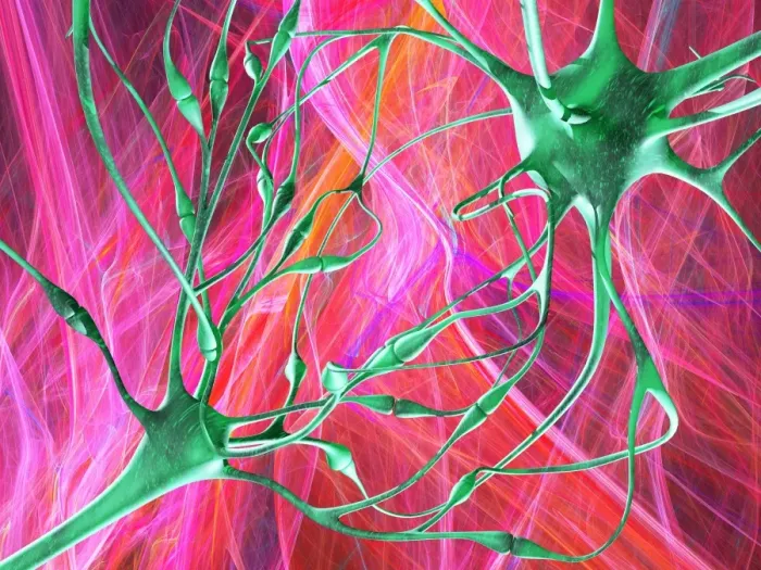 Framed Print : Nerve Synapses Print Framed Print : Nerve Synapses Print