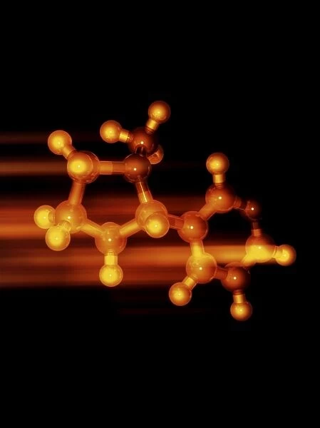 Nicotine molecule