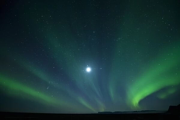 Northern lights, Iceland C018  /  2270