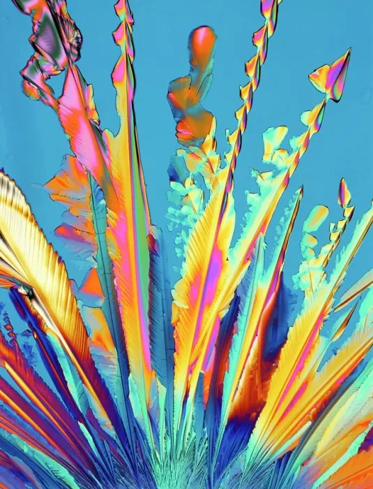Framed Print : Print of Oxytocin Crystals under Polarised Light Framed Print : Print of Oxytocin Crystals under Polarised Light