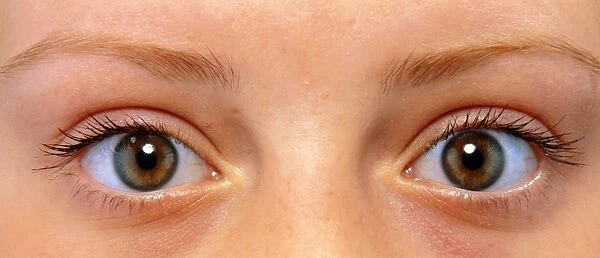 Pair of healthy brown eyes, female