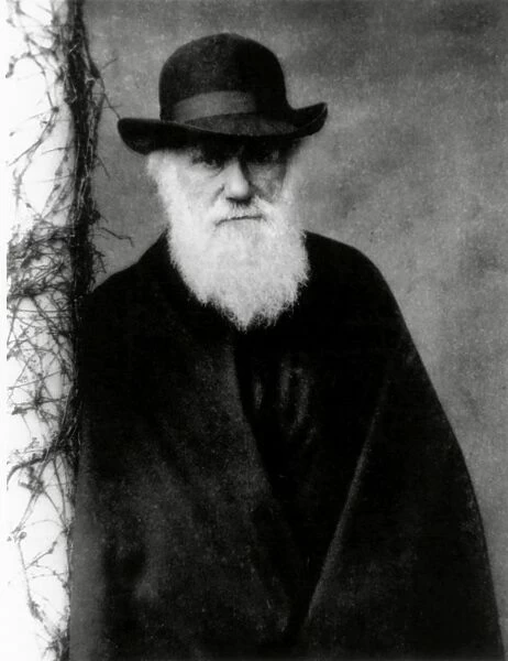 Photograph of Charles Darwin in 1881, aged 72