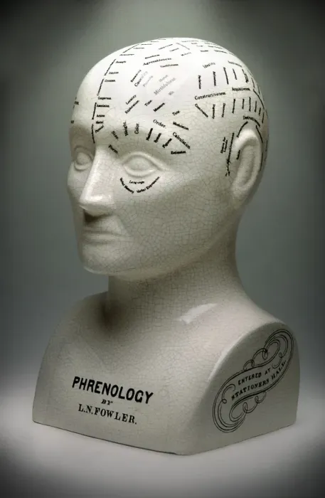 Framed Print : Phrenology bust print Framed Print : Phrenology bust print