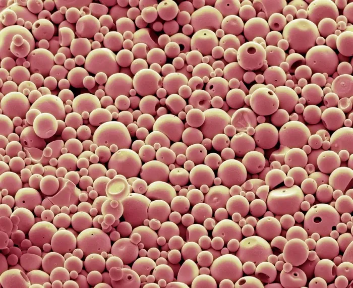 Framed Print : Biodegradable PLGA Microspheres Print Framed Print : Biodegradable PLGA Microspheres Print