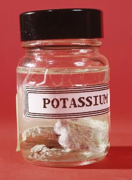 Potassium. Chunks of the alkali metal potassium (K) stored under oil