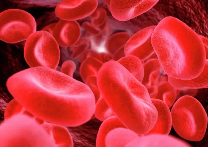 Framed Print : Red Blood Cells Print Framed Print : Red Blood Cells Print