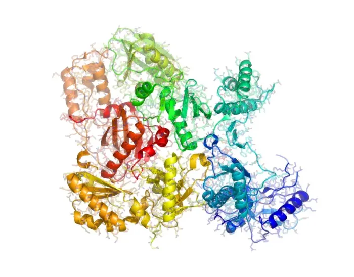 Framed Print : HIV Reverse Transcriptase Enzyme Molecular Model Print Framed Print : HIV Reverse Transcriptase Enzyme Molecular Model Print
